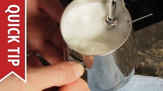 How to AutoFroth Milk for Lattes [upl. by Aroled552]