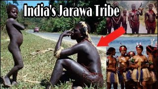 Tribes of Andaman  Jarawa Sentinelese Onge Tribe  Part 1  Dark Ride [upl. by Ellicott]