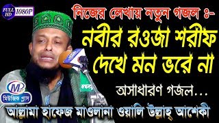 নতুন গজল  নবীর রওজা শরীফ দেখে মন ভরে না  অলি উল্লাহ আশেকী  Music Plus Waz [upl. by Sonitnatsnoc]