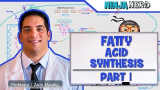 Metabolism  Fatty Acid Synthesis Part 1 [upl. by Yusuk]