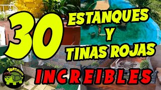 30 HÁBITAT DE TORTUGAS DE AGUA DE SUSCRIPTORES QUE TE ENCANTARÁN PARTE 2  HÁBITAT PARA TORTUGAS 🐢 [upl. by Yram]