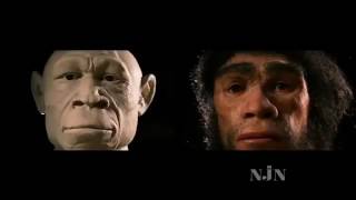 PBS Nova Documentary Collection Homo Sapiens The Birth of Humanity [upl. by Akinit]