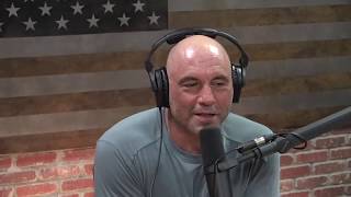 Joe Rogan and Edward Norton talk Steven Seagal [upl. by Finnie]