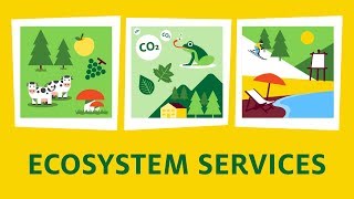 What are ecosystem services [upl. by Hamish]