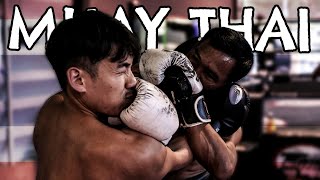 THEY BROKE ME  Muay Thai Training Camp in Bangkok 1 [upl. by Meneau]