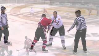 JON MIRASTY Eperviers Sorel Tracey LNAH 2013  2014 Season [upl. by Baiel]