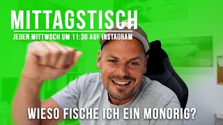 Mittagstisch  Eure Fragen  Meine Tipps  Wieso ein Monorig  27 [upl. by Arianne]