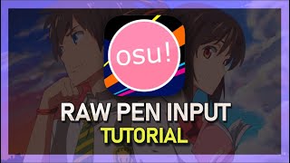 OSU  How To Enable Raw Mouse amp Pen Input [upl. by Ailima772]