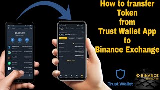 How to send token from Trust Wallet to Binance Exchange Account [upl. by Gardel906]