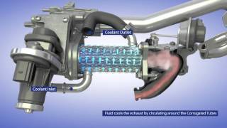 BorgWarner EGR System for Passenger Vehicle Applications [upl. by Teador]