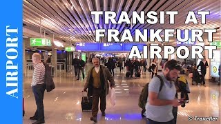 TRANSIT WALK AT FRANKFURT Airport FRA Terminal 1  Connection Flight Transfer Arriving amp Departing [upl. by Shipman81]