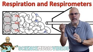 Respiration and Respirometers [upl. by Shandie28]