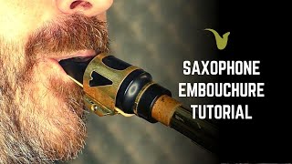 Saxophone Embouchure Tutorial [upl. by Sharp388]