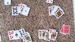 How to play Euchre Part 24 [upl. by Litton250]