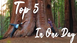 PERFECT Day In Sequoia NP  TOP 5 to do in ONE DAY [upl. by Eiramait]