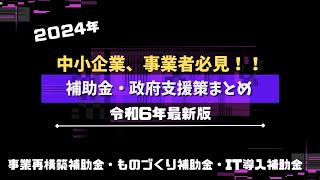 申請できる最新の補助金・政府支援策まとめ【2024年度】 [upl. by Anemix9]