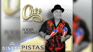 Cheo Andujar  Día Tras Día Audio Oficial  Salsa Romántica [upl. by Carrol103]