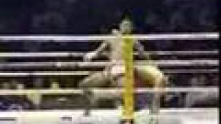 Muay Thai Deadly Skills [upl. by Assetak]